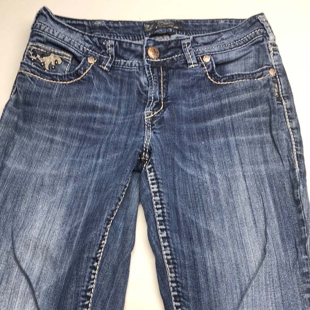 Silver Jeans Blue Skinny Denim with Gradient Effect